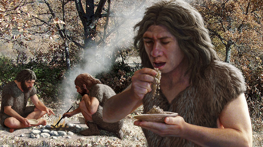 Image result for neanderthals cannibalism