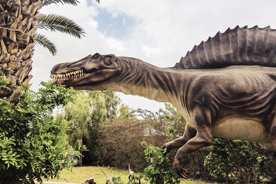 sixth-mass-animal-extinction-dinosour