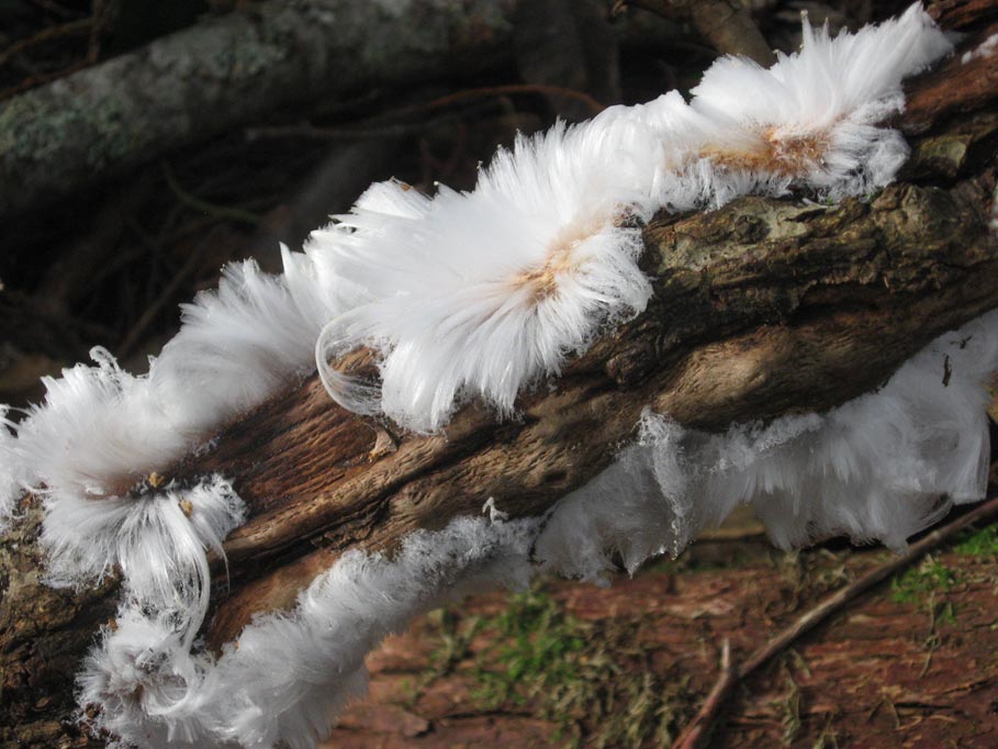 hair-ice