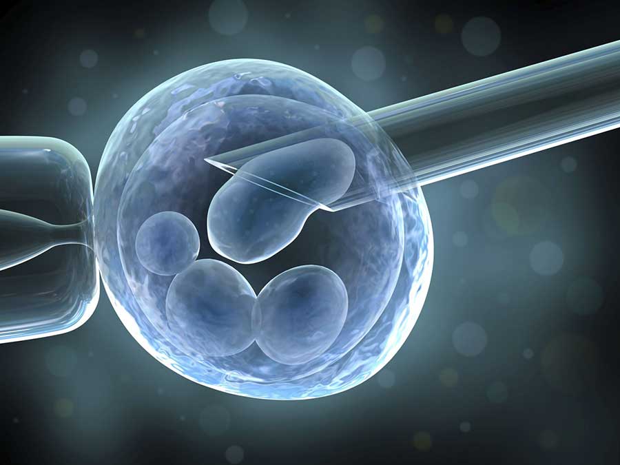 Use of oocytes donated for in vitro fertilization (IVF) has increased in recent years.1 Donated fresh oocytes traditionally have been used immediately, creating embryos for transfer into the uterus, with extra embryos being cryopreserved for later use. Image: Vitromed