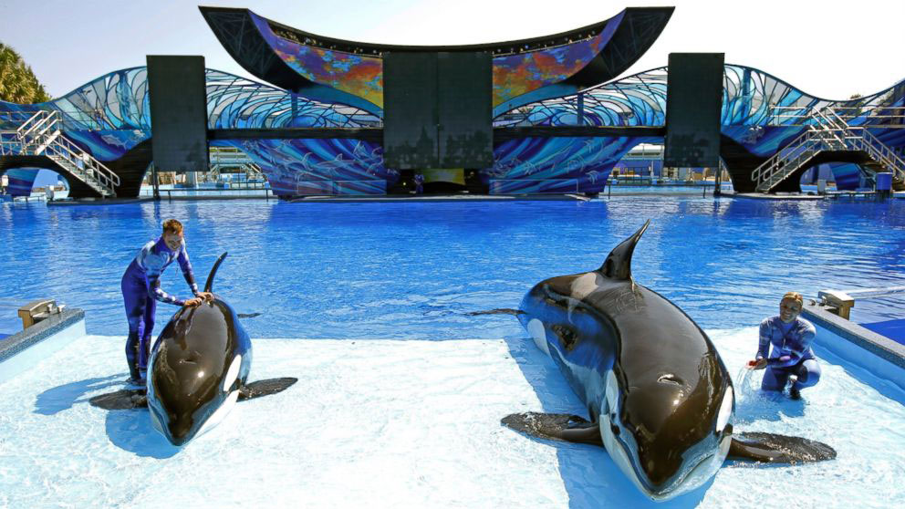 Photo: AP