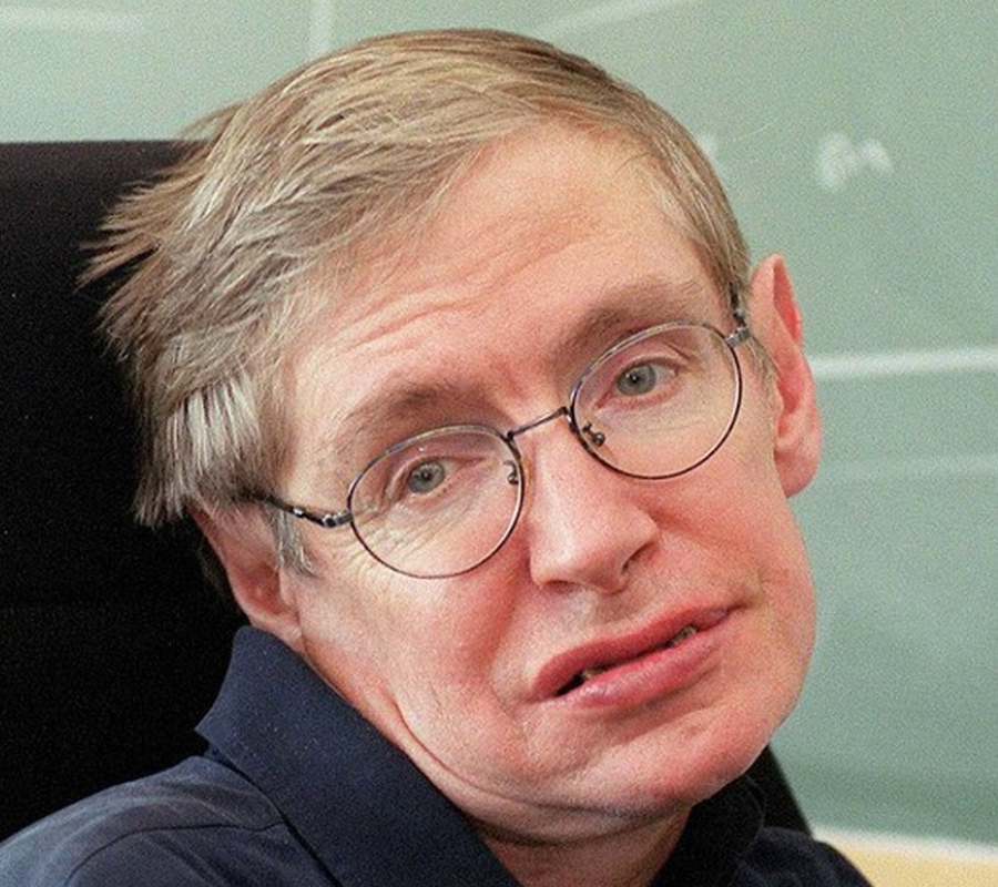 Hawking Brexit