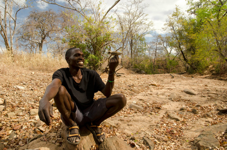 Humans and birds have been working together to find food in Africa for many years, which allow them to learn how to communicate. Photo credit: Claire Spottiswoode / WUWM