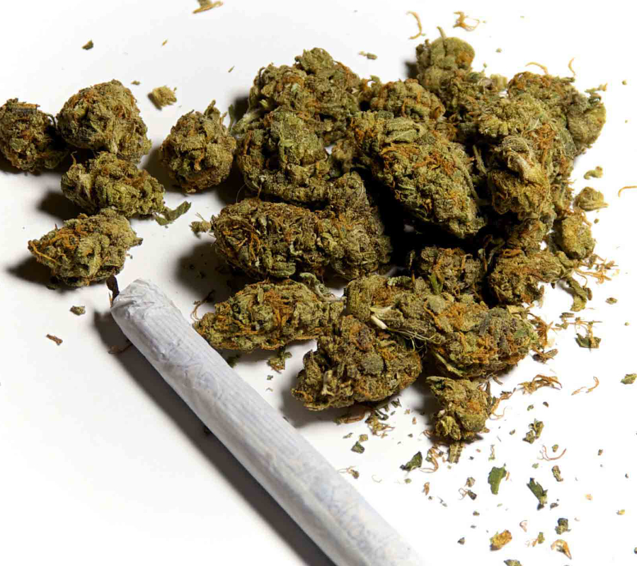 Marijuana