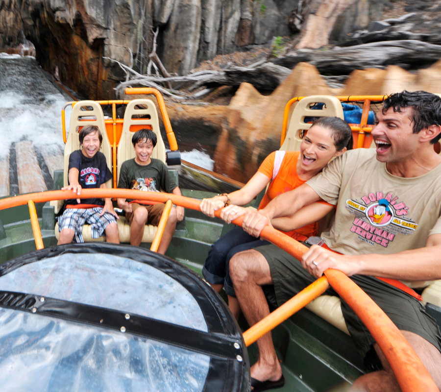 Theme park