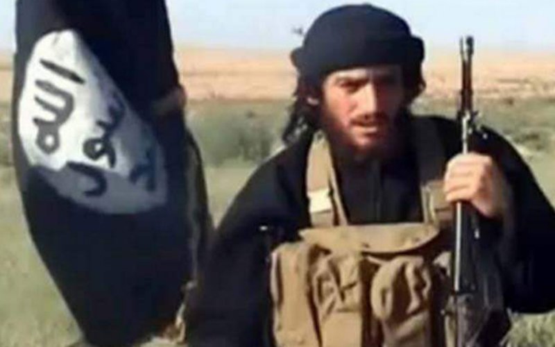 Abu Mohammed al-Adnani, ISIS