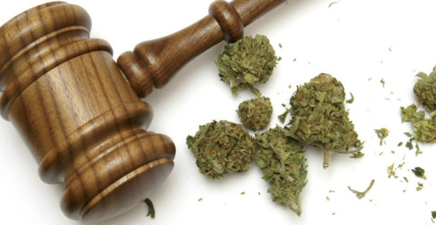 The news has been condemned by the public, especially from the 25 states within the country that allow the medical use of the plant such as Alaska, California, Colorado, Arizona, District of Columbia and Puerto Rico. Image Credit: Business Insider