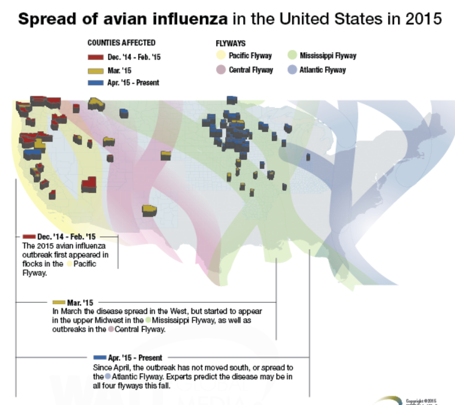 Avian Influenza 2015