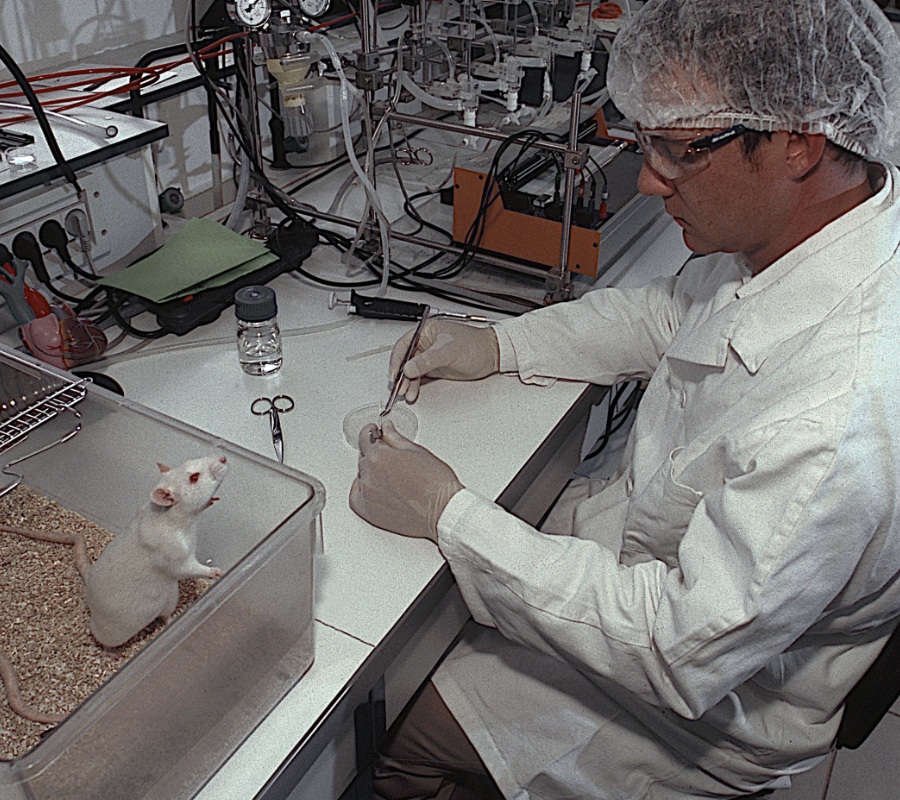 Lab rats