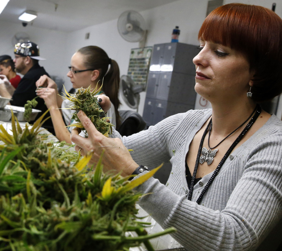 Marijuana DEA
