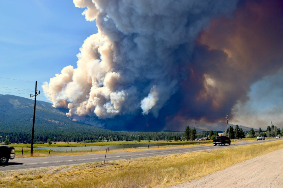 A great fire called the “Roaring Lion fire” because it started near the Roaring Lion Road in Hamilton, Montana, has burnt 14 housed and around 500 have been evacuated. Photo credit: Courtney Ferguson / KTVQ