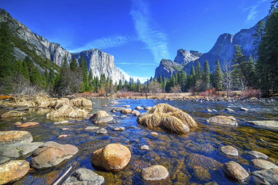 To celebrate the 100th anniversary of the National Park Service, President Obama is inviting everyone to join him on a virtual reality tour of Yosemite National Park. Photo credit: History
