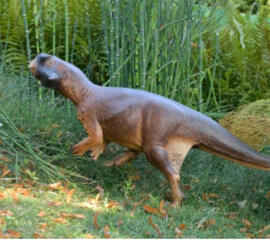Psittacosaurus