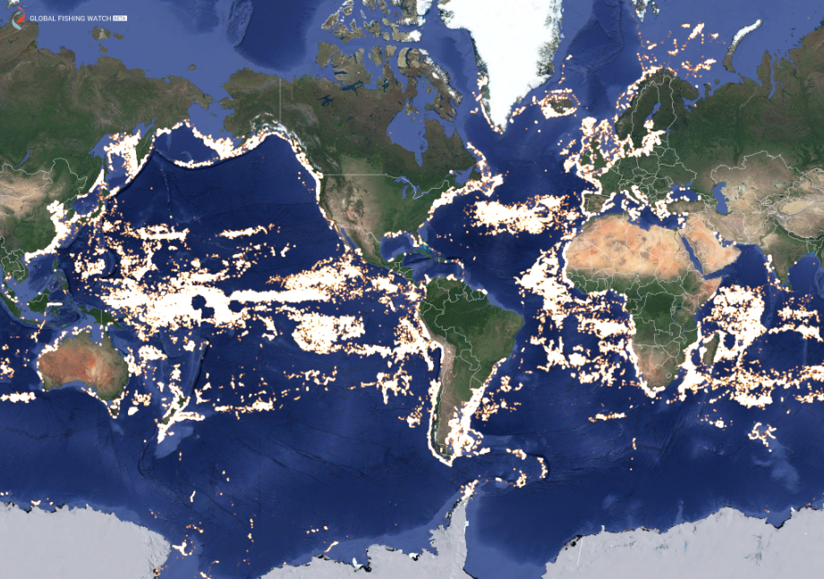 Global Fishing Watch