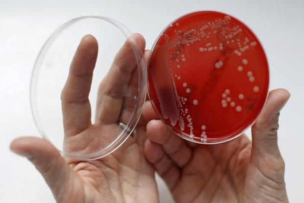 Superbug