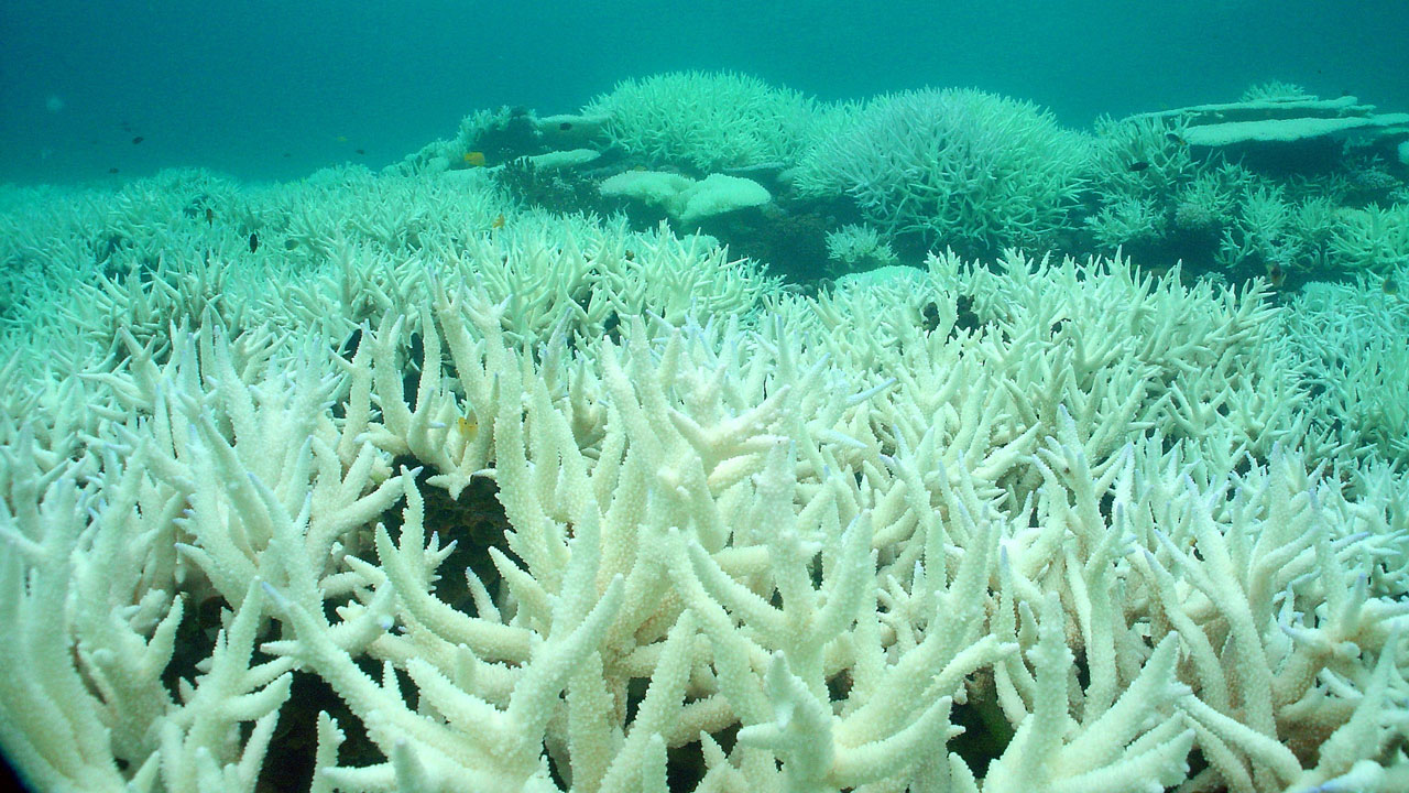 Great Barrier Reef