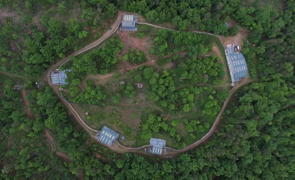 Project Chimp