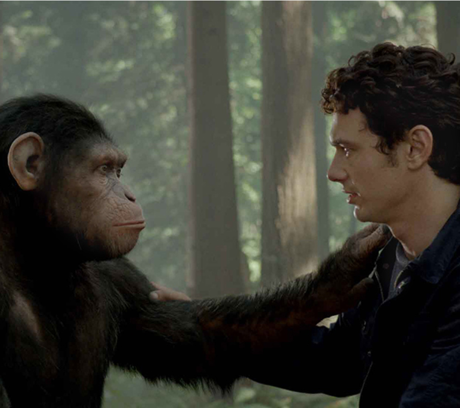 Apes