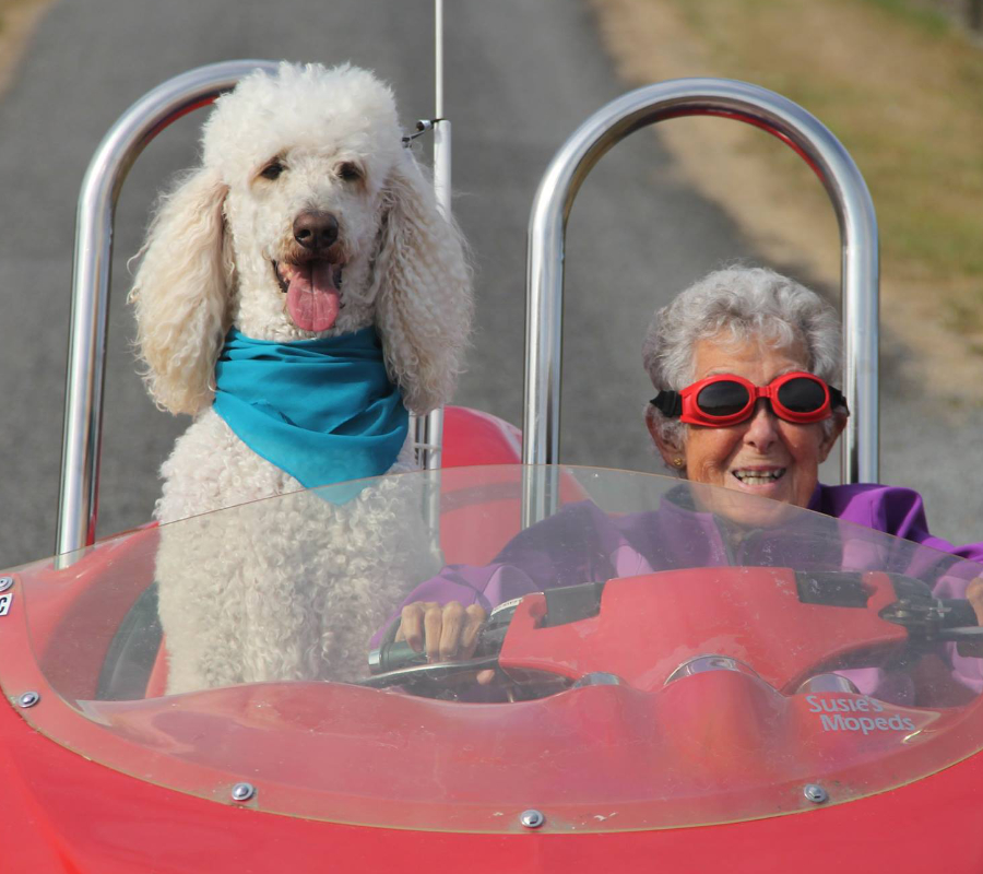 Driving Miss Norma