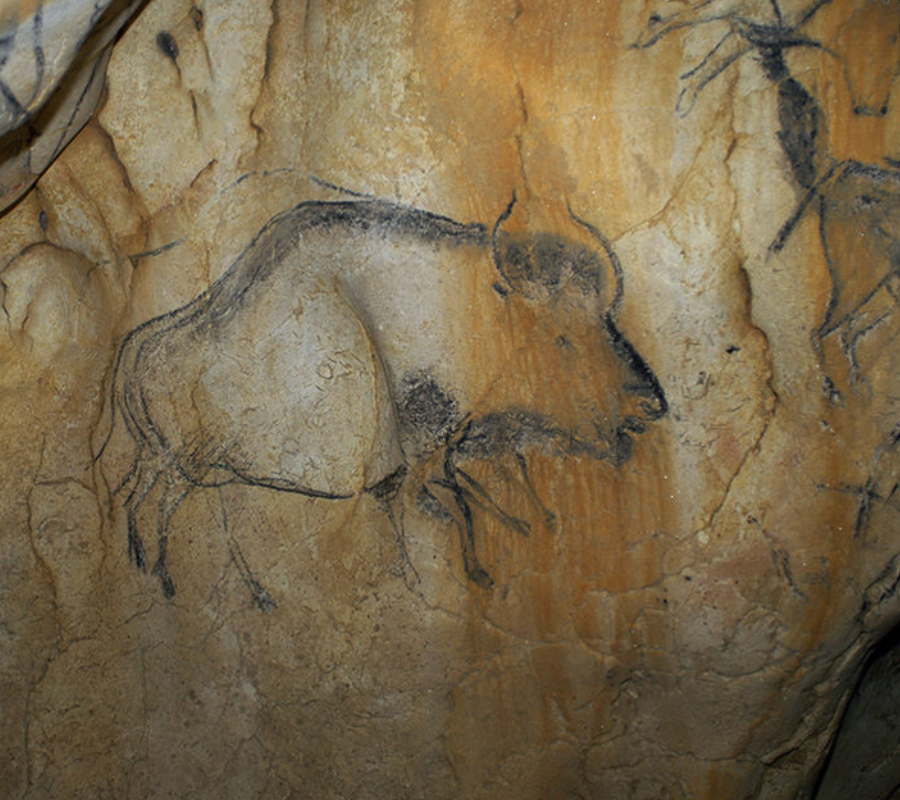 Bison painted in a cave