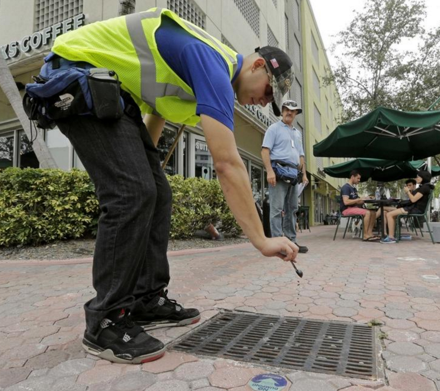 Zika, Florida