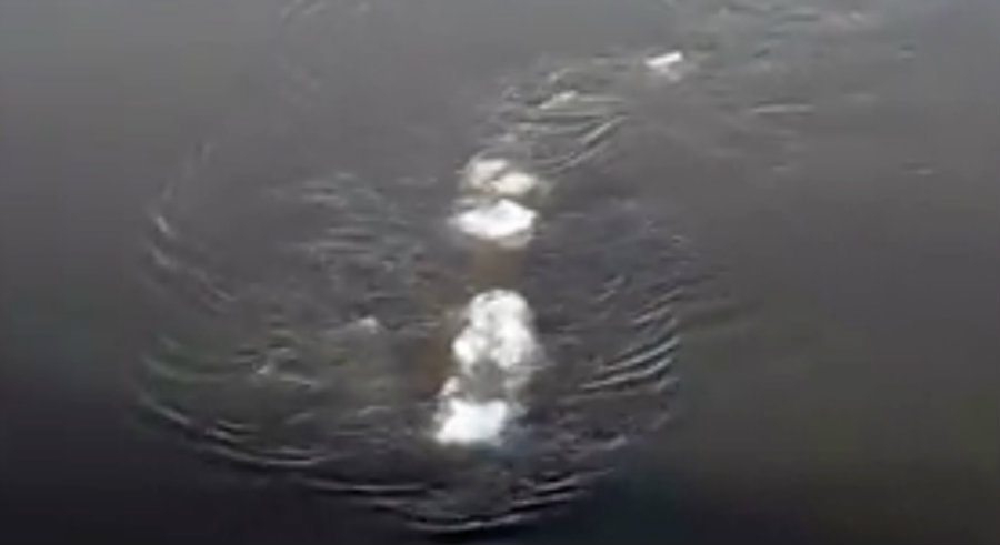 The Alaskan "Nessie." Photo credit: Bureau of Land Management Alaska / Elite Daily