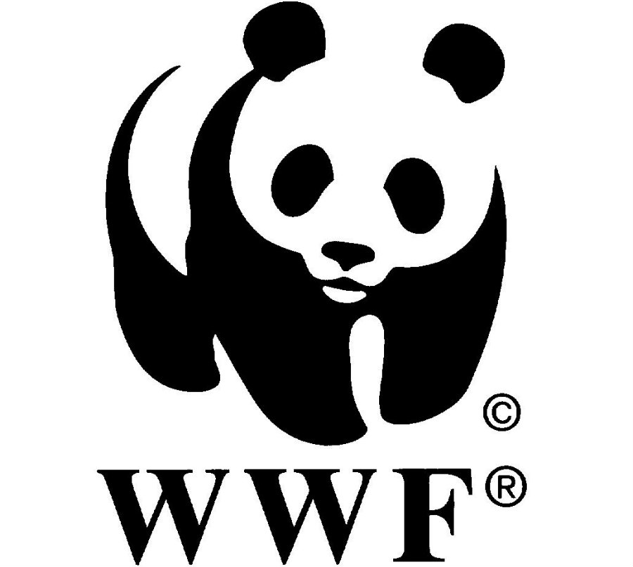 WWF stated that from 1970 to 2012, 58 percent of wildlife population has decreased. Photo credit: K4health.org