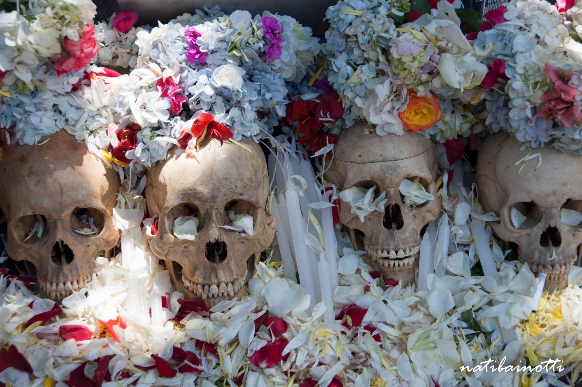 Day of the dead