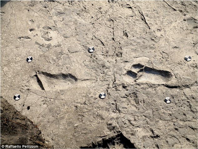 Human footprints
