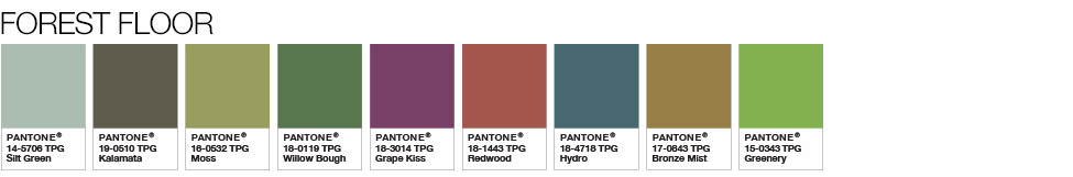 Pantone Colors