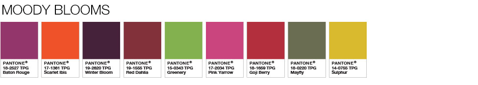 Pantone Colors