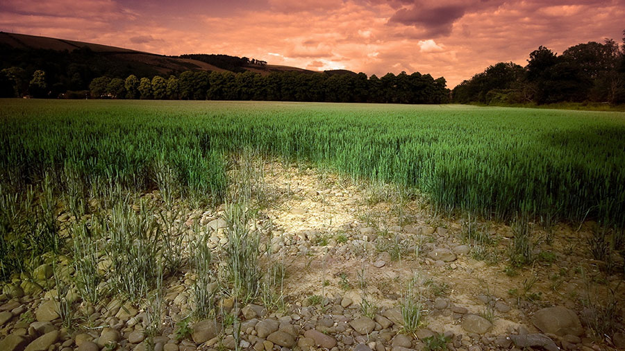 earth-soil-carbon