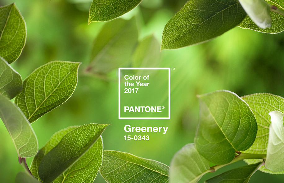 Pantone color of the year