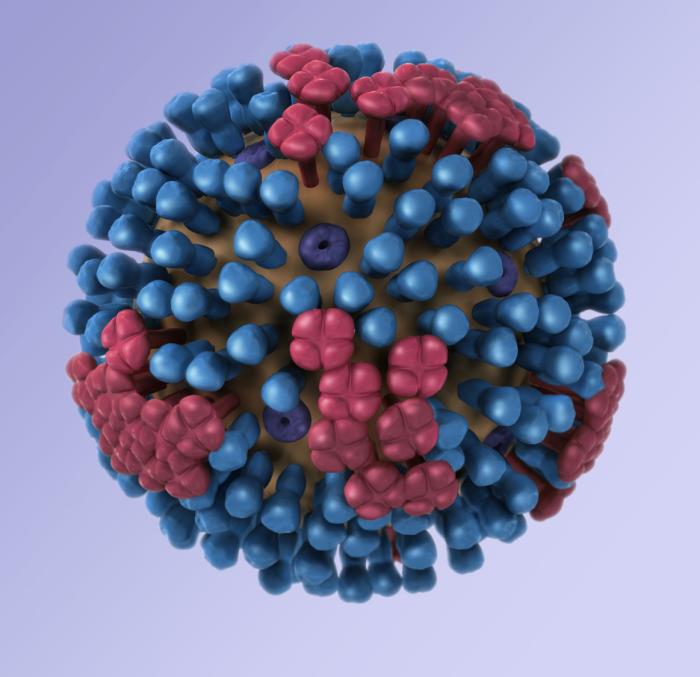 H3N2