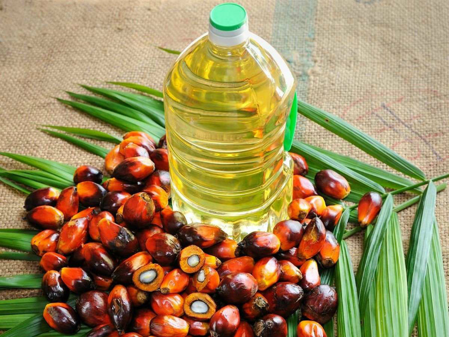 According to an EFSA report issued on May last year, the palm oil ingredient produces more of a potentially cardiogenic element. Photo credit: Organic Facts