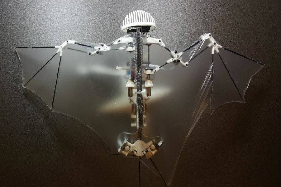 Bat Bot (B2) can reproduce the flight of a biological bat. Image credit: Ramezani, Chung, Hutchinson, Sci. Robot. 2, EAAL2505 (2017) / The Wall Street Journal