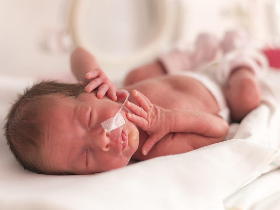 Premature baby