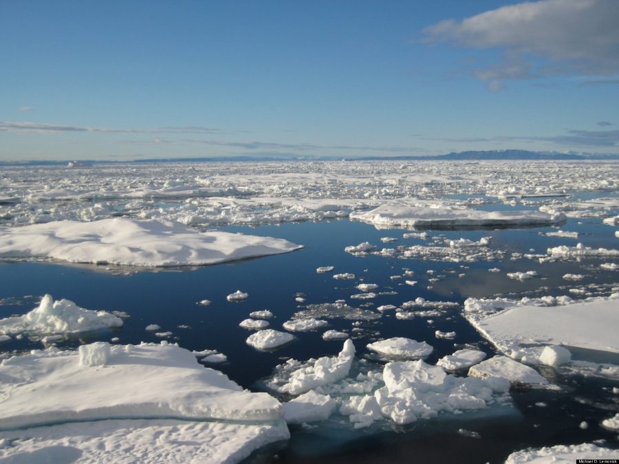 Arctic