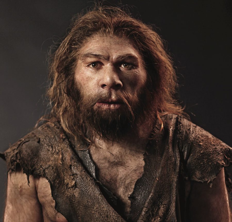 Neanderthals