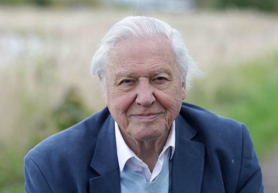 A new fossil is named after David Attenborough. Image credit: Independent