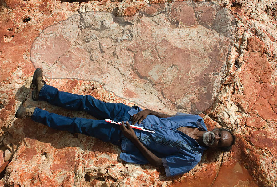 One of the most remarkable findings has to do with the discovery of the world's biggest dinosaur footprint ever found. Image credit: Inhabitat