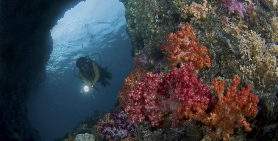 The archipelago of Raja Ampat is part of the Coral Triangle. Image credit: The Nature Conservancy