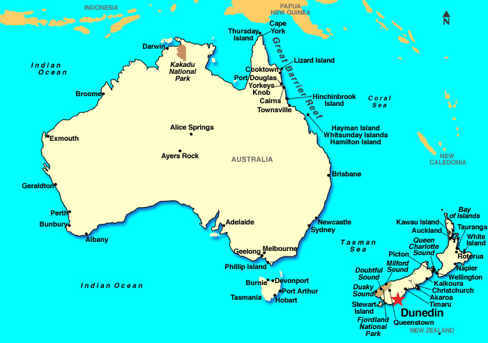 dunedin-island-australia