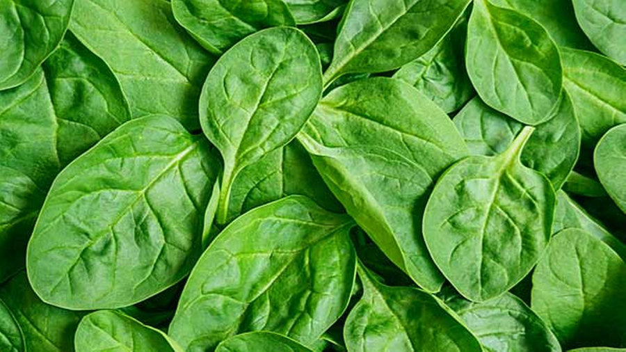 A group of scientists was able to convert a spinach leaf into a piece of working human heart tissue. Image credit: Shutterstock / 6ABC