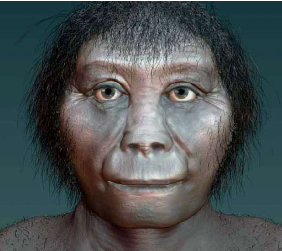 Homo floresiensis