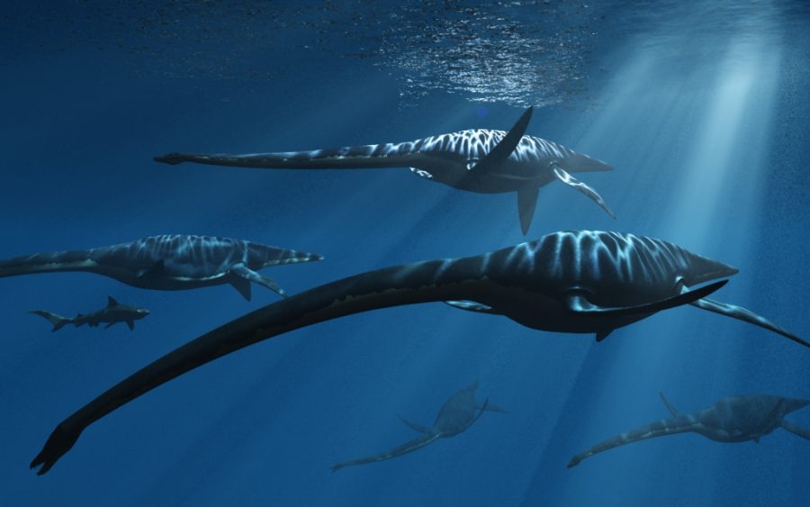 Elasmosaurus