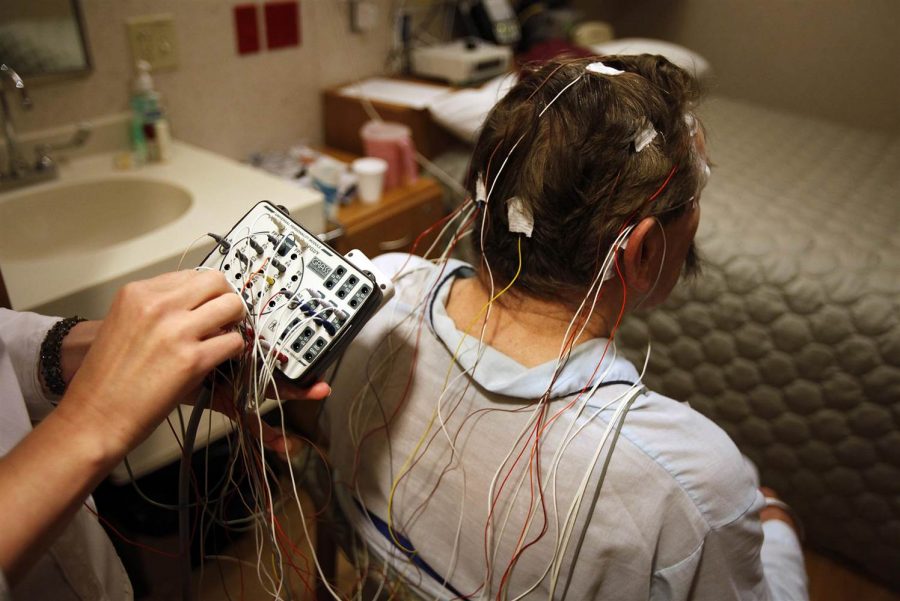 Sleep study, Brain