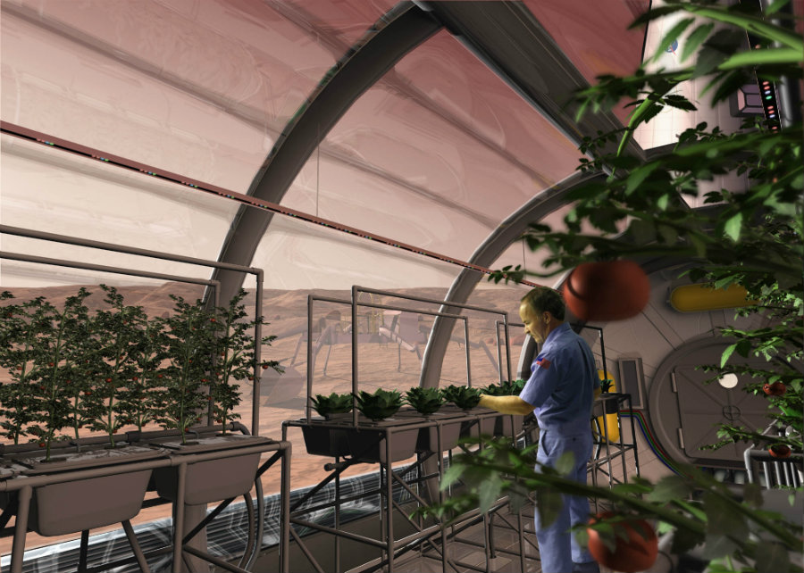 The Prototype Lunar Greenhouse (LGH) is hoped to help fulfill the late Ralph Steckler’s dream of space colonization. Image credit: NASA