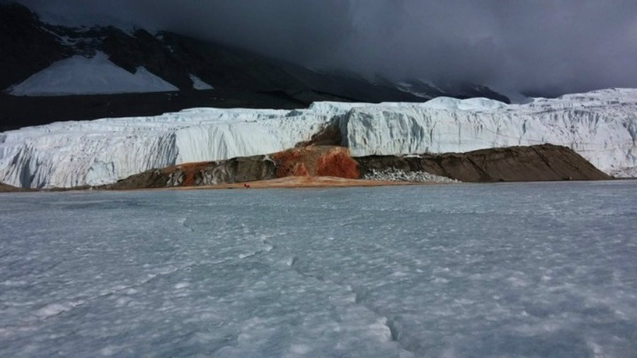 The Antarctic red falls are famous for their sporadic releases of iron-rich salty water, and the brine gives the falls its signature red color when the iron gets in contact with air. Image credit: Jill Mikucki / The Society for Integrative & Comparative Biology