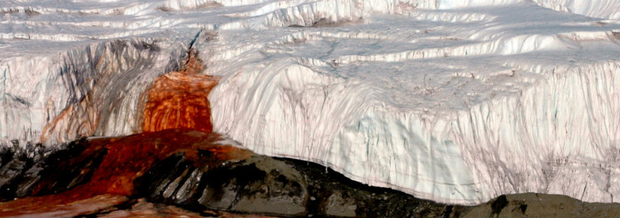 A team of researchers solved a century-old mystery involving the famous Blood Falls on Antarctica. Image credit: Glacier Hub